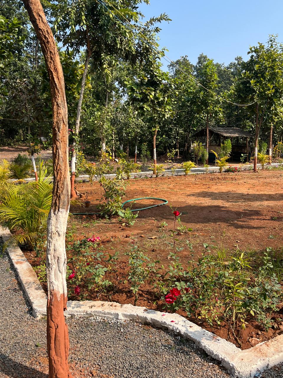 Luxury resort pool with palm trees at sunset